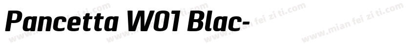 Pancetta W01 Blac字体转换